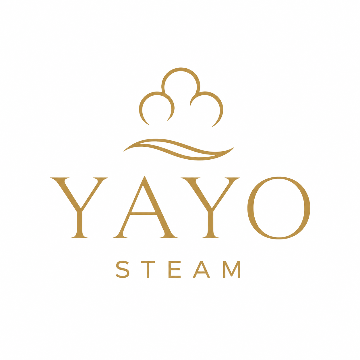 YAYO STEAM